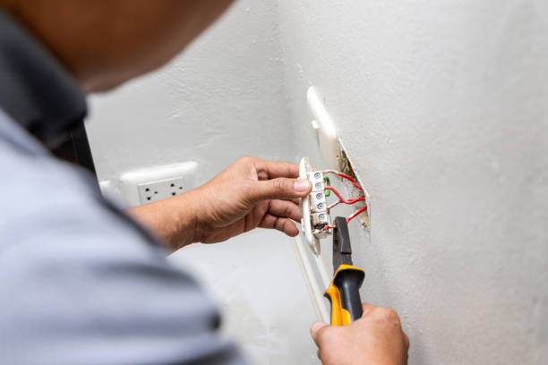Best Affordable Electrician  in Allen Park, MI