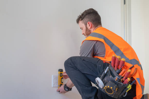 Best Affordable Electrician  in Allen Park, MI